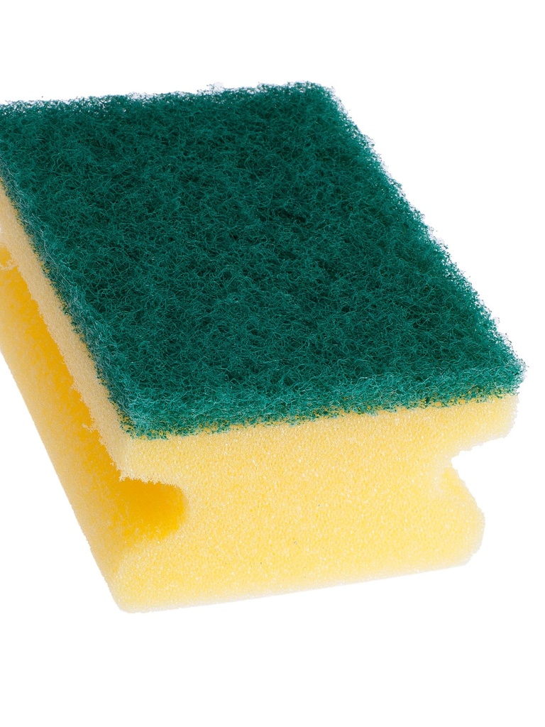 Polyester Padschwamm Paddy Klein 9,5x7x4,5cm 10x10 Stk