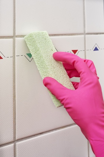 [DB4] Bio-Stein "Donnerbalken in Pack 4 Stück